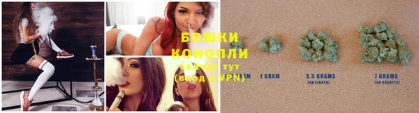 трава Балахна