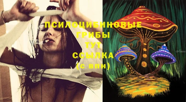 трава Балахна