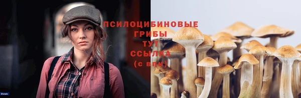 амф Баксан