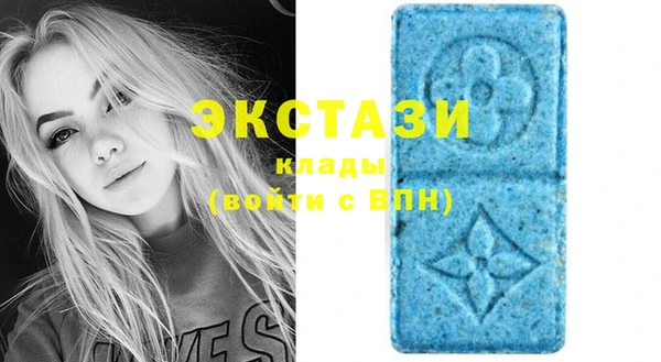 молекула духа Пересвет