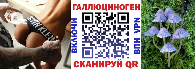 Галлюциногенные грибы Psilocybine cubensis  гидра онион  Шилка 